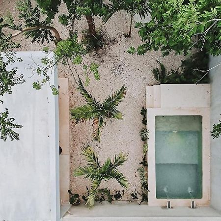 La Sultana: Amazing New House With Pool And Bikes Included. Βίλα Βαγιαδολίδ Εξωτερικό φωτογραφία