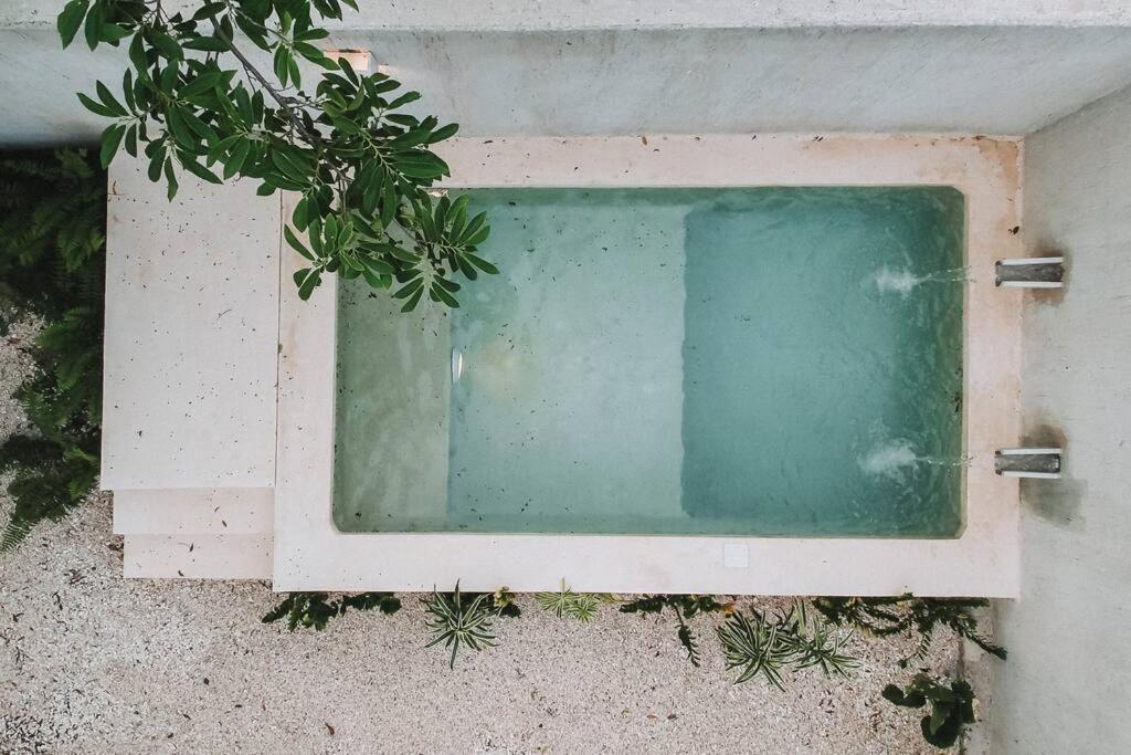 La Sultana: Amazing New House With Pool And Bikes Included. Βίλα Βαγιαδολίδ Εξωτερικό φωτογραφία