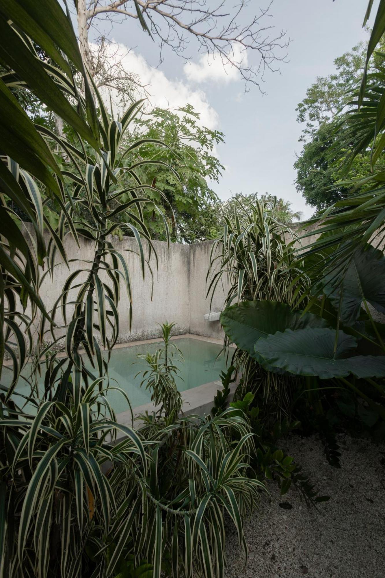 La Sultana: Amazing New House With Pool And Bikes Included. Βίλα Βαγιαδολίδ Εξωτερικό φωτογραφία